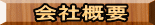ЊTv