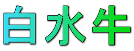 白水牛