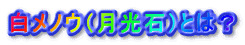 mEi΁jƂ́H 