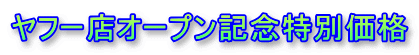 t[XI[vLOʉi 